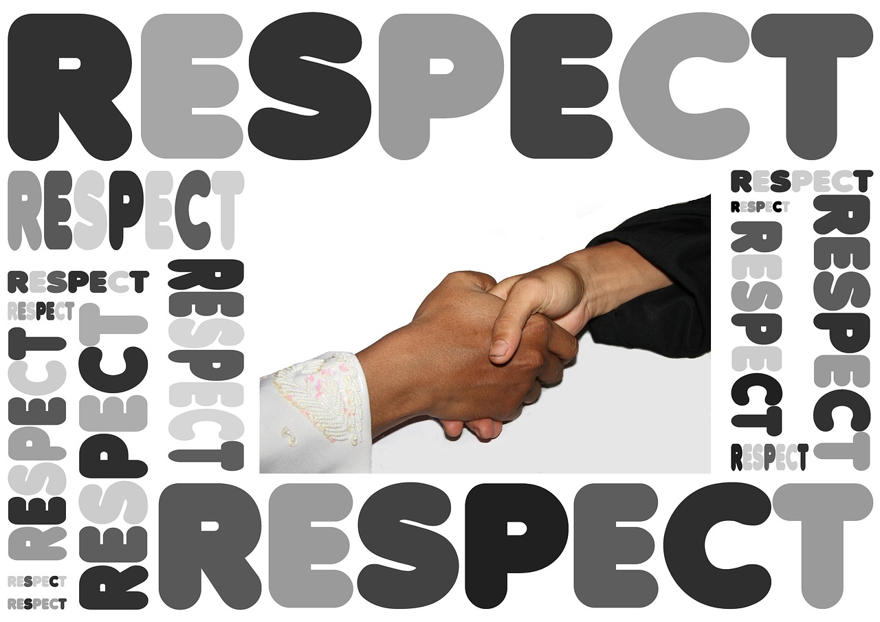 handshake, shaking hands, respect